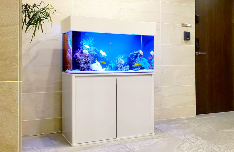 個人宅様 90cm海水魚水槽 レンタル事例 その後 水槽画像１