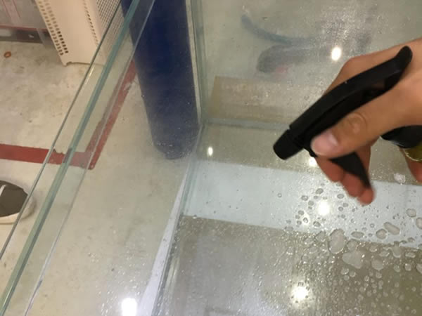 プロ選定 水槽バックスクリーンのベスト10ときれいに貼る方法 道具を解説 東京アクアガーデン