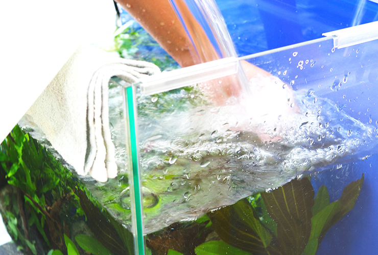 プロが教える 熱帯魚水槽をリセット 再設置する方法とは 東京アクアガーデン