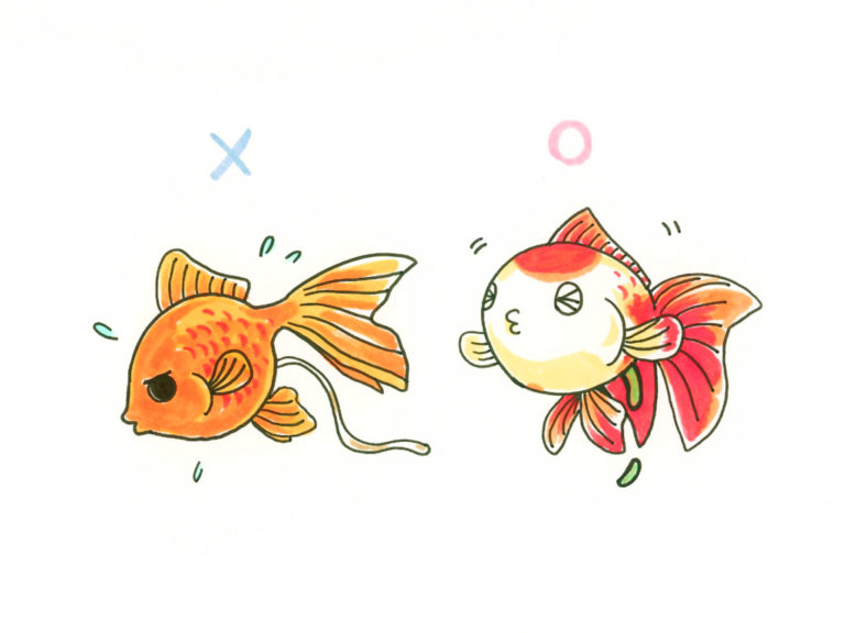 金魚が浮く 沈む 転覆病と便秘 消化不良の関係と対処法とは 東京アクアガーデン
