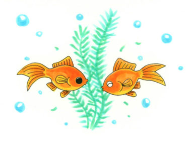 【金魚と一緒に入れる水草・浮き草】水槽プロのおすすめベスト10