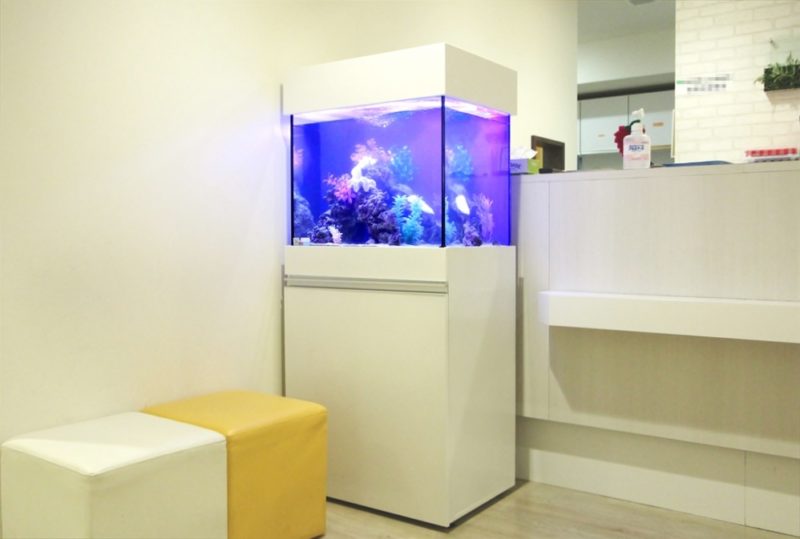 渋谷区　診療所の待合室　60cm海水魚水槽　レンタル設置事例 水槽画像４