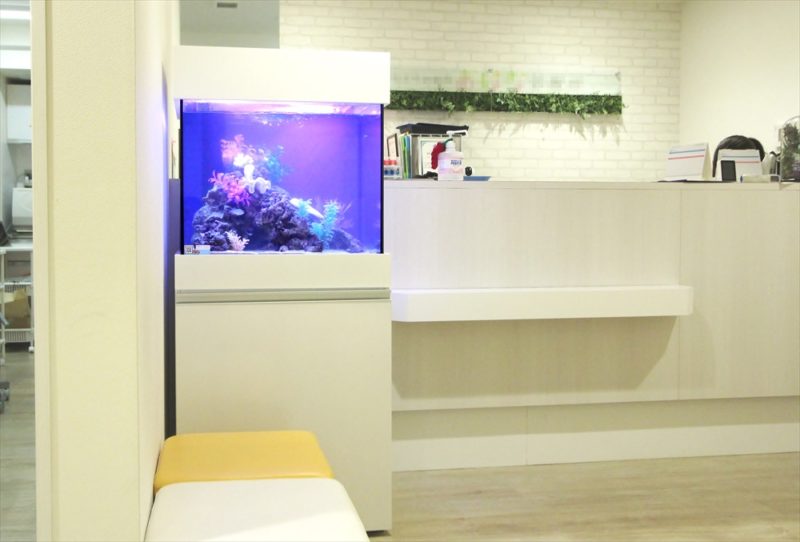 渋谷区　診療所の待合室　60cm海水魚水槽　レンタル設置事例 水槽画像２