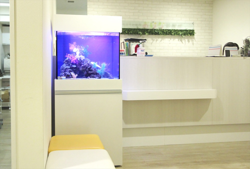 診療所の待合室　60cm海水魚水槽　全体画像