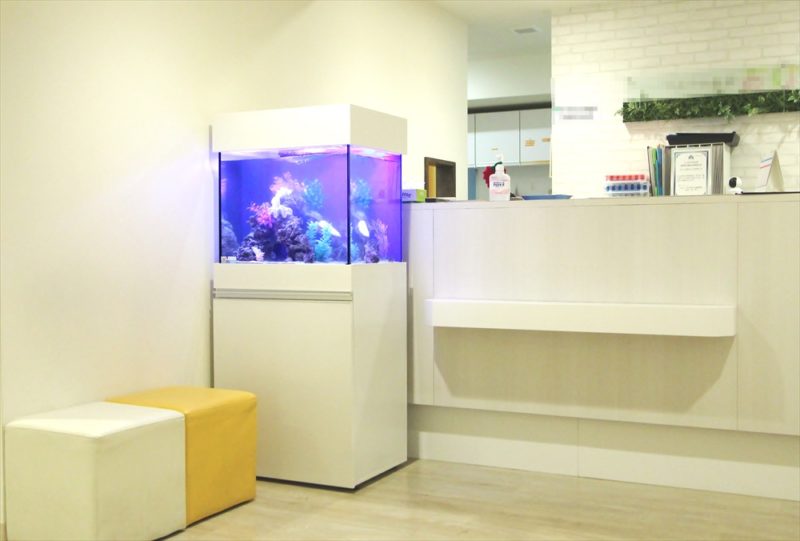 渋谷区　診療所の待合室　60cm海水魚水槽　レンタル設置事例 水槽画像１