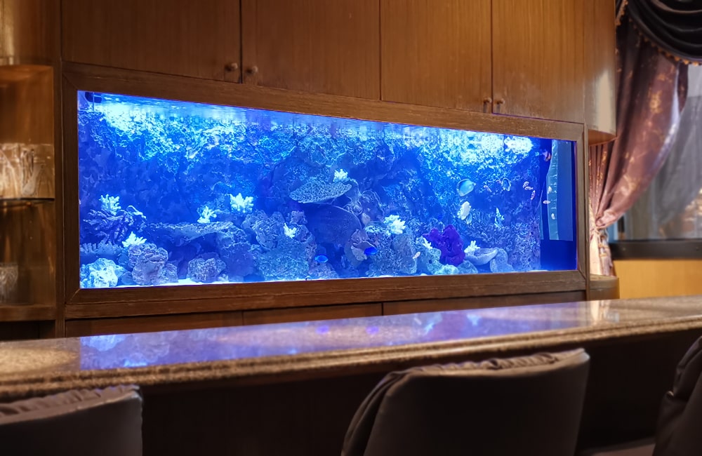 店舗様　埋め込み式 240cm海水魚水槽　メンテナンス事例のサムネイル画像