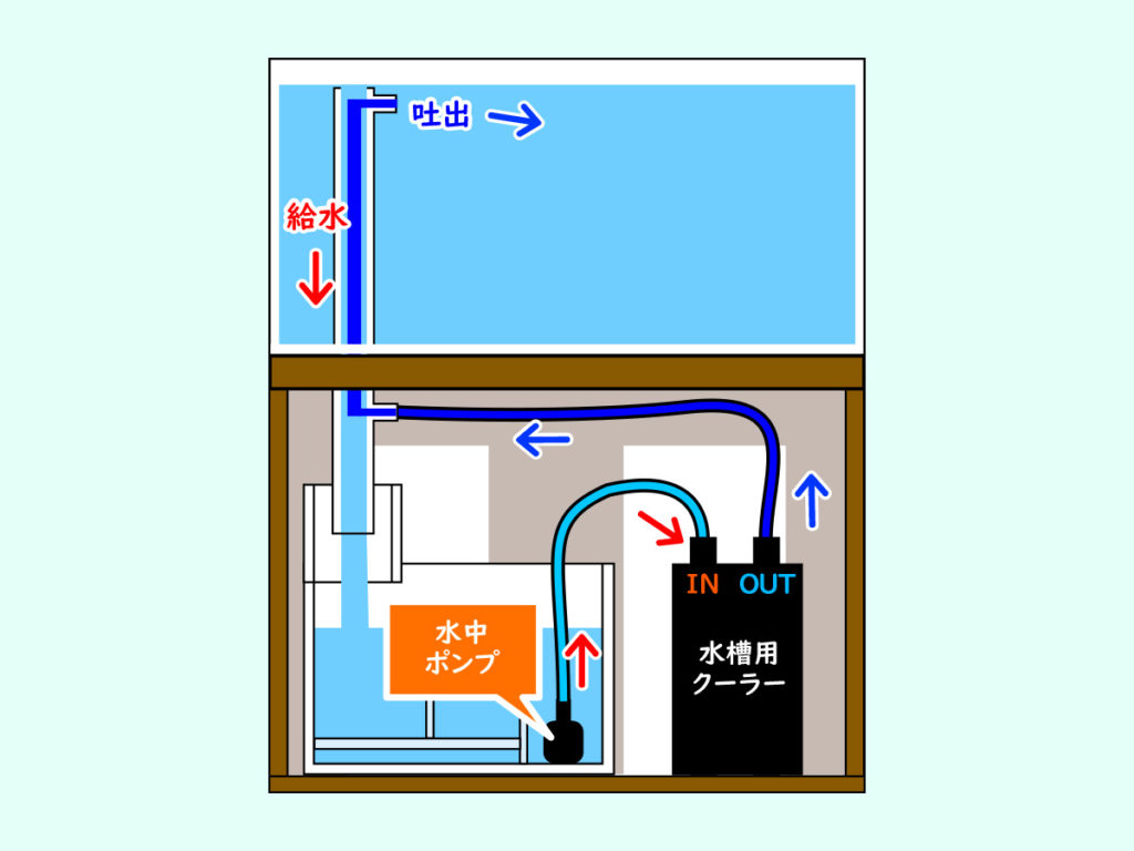 オーバーフロー水槽とは｜ろ過方式の仕組み・システムとメリットを解説 