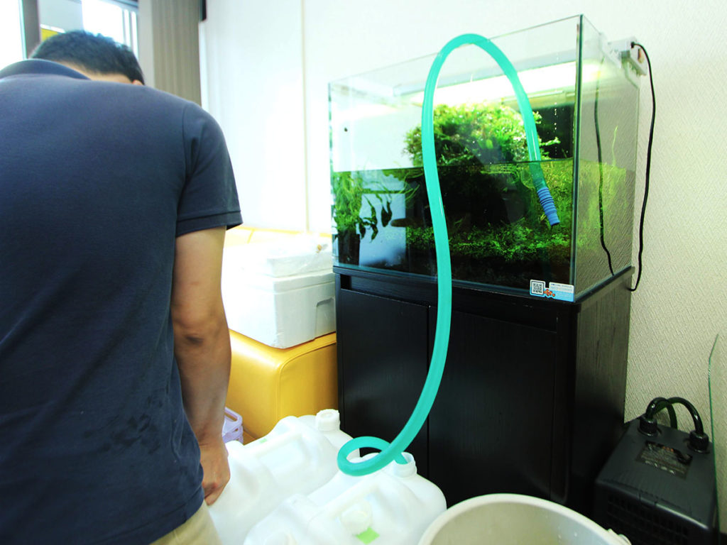 熱帯魚水槽を引越しする方法と注意点とは プロが実践する水槽移動術 東京アクアガーデン
