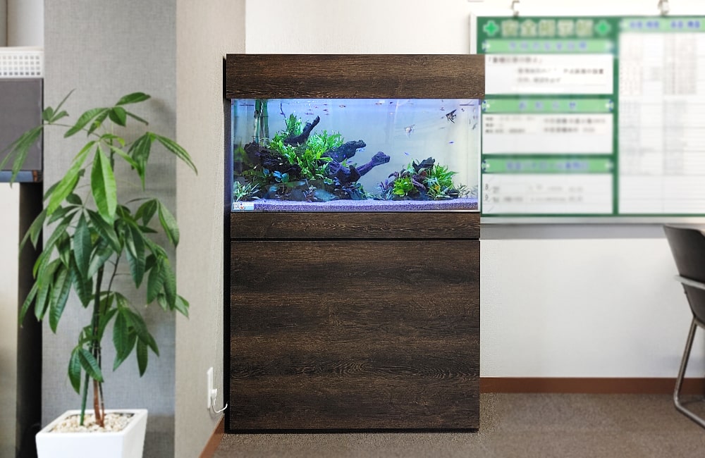 愛知県名古屋市 オフィス　90cm淡水魚水槽 レンタル事例のサムネイル画像
