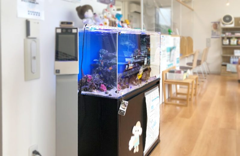 愛知県 なのはな薬局様 水槽レンタル事例　90cm海水魚水槽を設置しました 水槽画像５