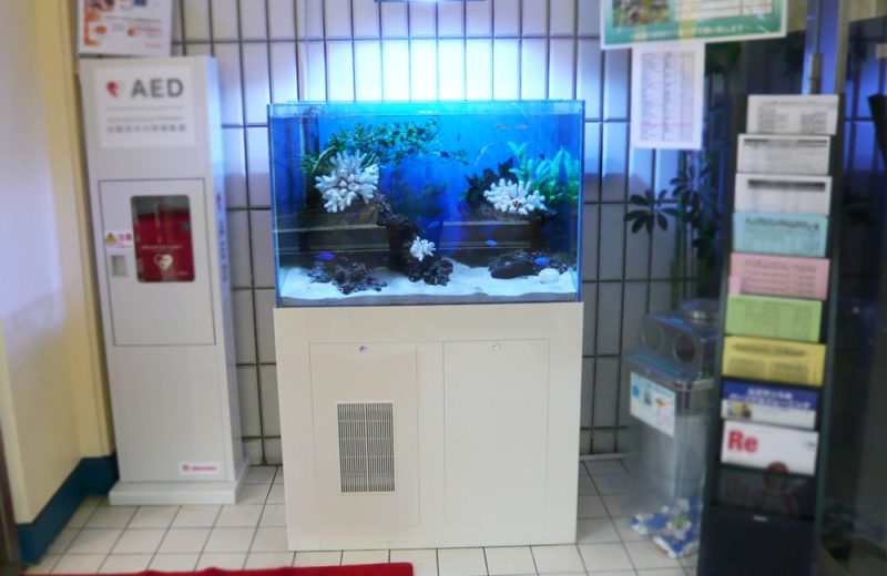 スポーツクラブ　ルネサンス早稲田店様　90cm海水魚水槽 レンタル事例 水槽画像２