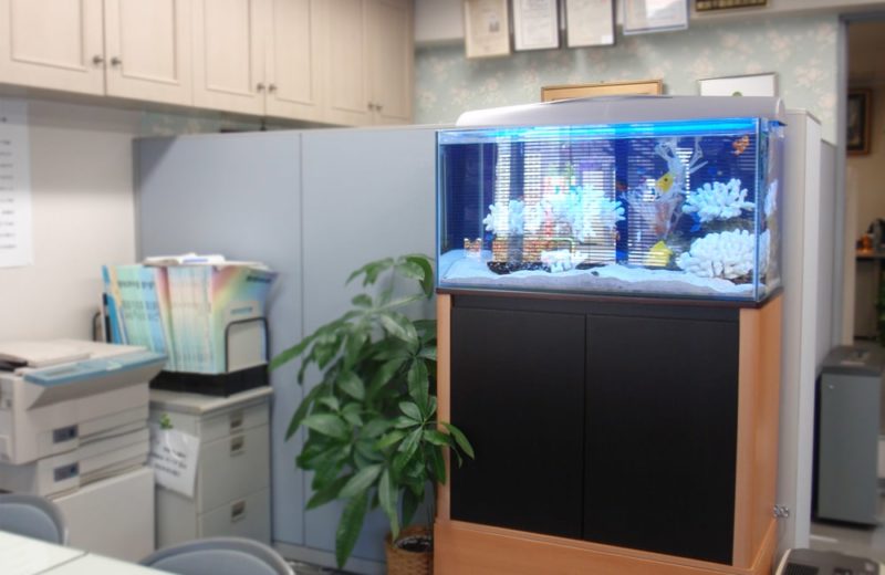 荒川区　企業様　オフィスに90cm海水魚水槽を設置　水槽レンタル事例 水槽画像３