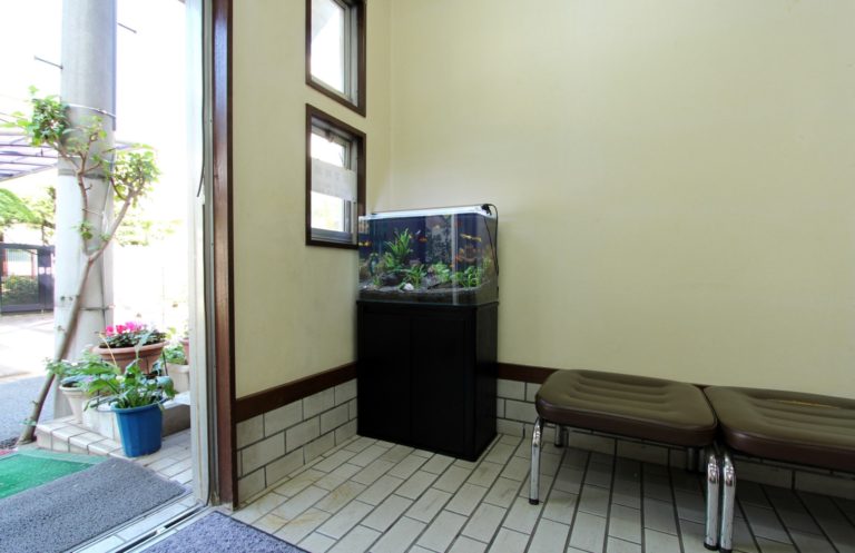玄関に水槽を置こう 風水効果とは 水槽設置でメリット5つ注意点3つ 東京アクアガーデン