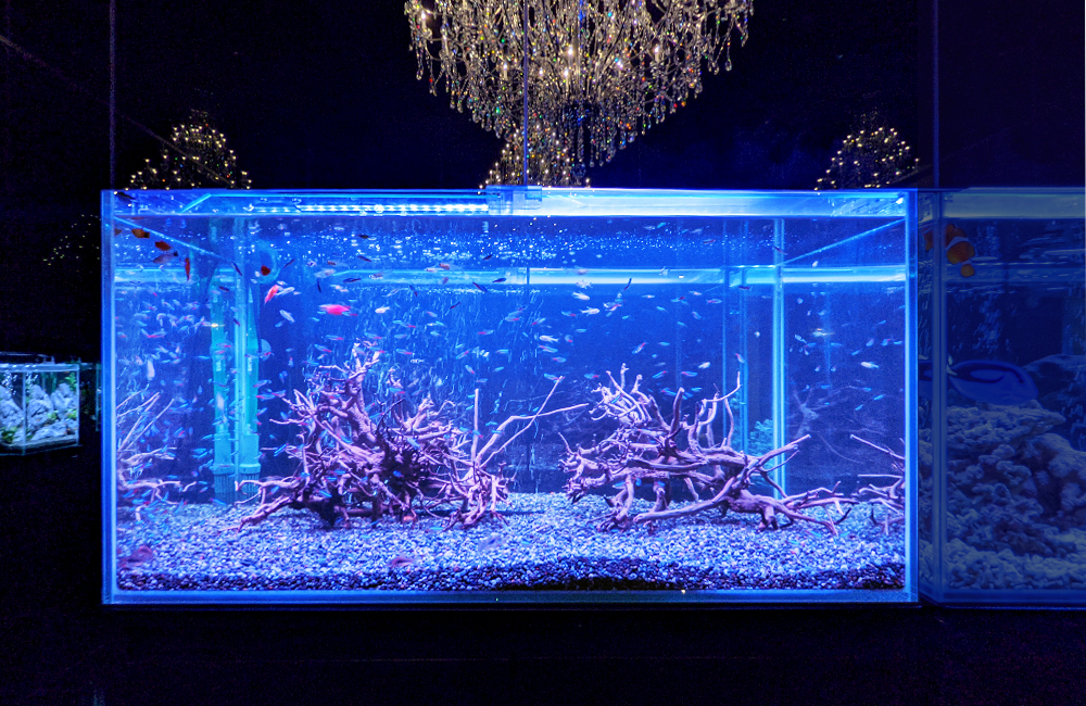 ハードスケープ