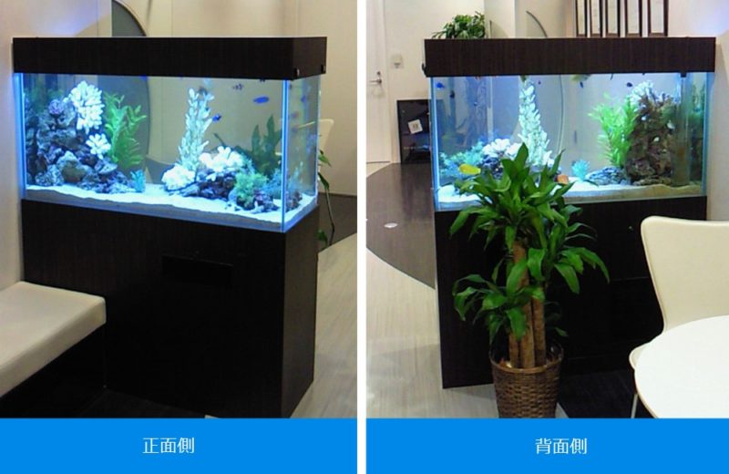 企業様　オフィスの商談スペース　120cm海水魚水槽　レンタル事例 水槽画像２