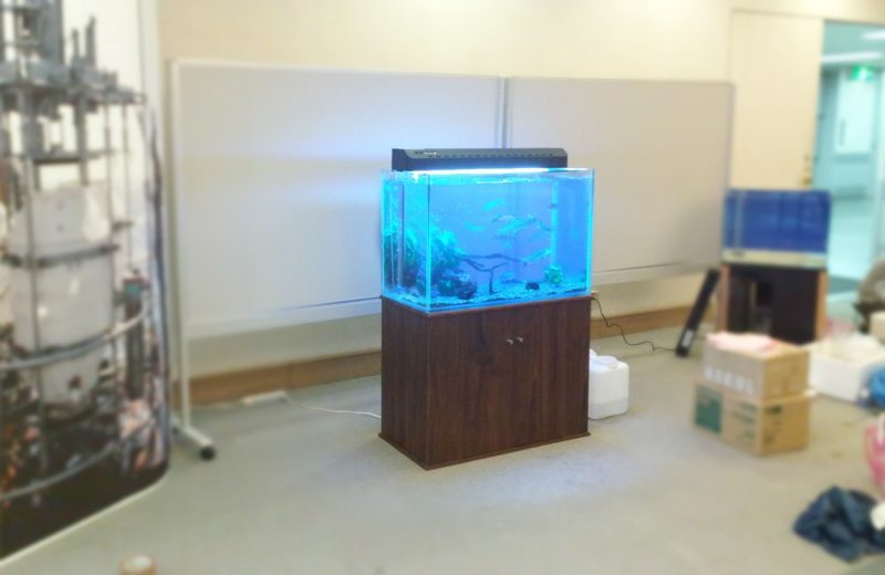 神奈川県横浜市　研究展示会に90cm淡水魚水槽を設置　水槽短期レンタル事例 水槽画像２