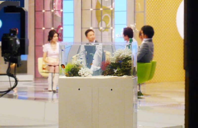 NHK撮影協力　情報番組に90cm海水魚水槽をレンタル　水槽短期レンタル事例 水槽画像２