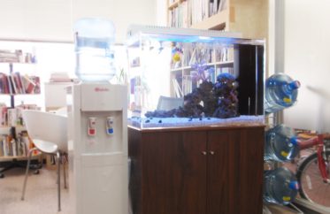 東京都中央区　オフィス　海水魚水槽　販売・水槽リニューアル事例