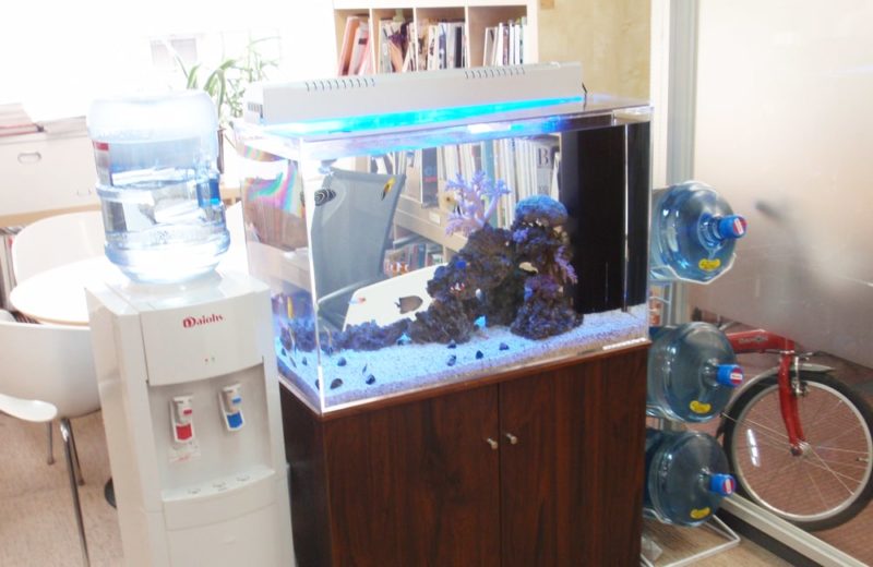 東京都中央区　オフィス　海水魚水槽　販売・水槽リニューアル事例 水槽画像３