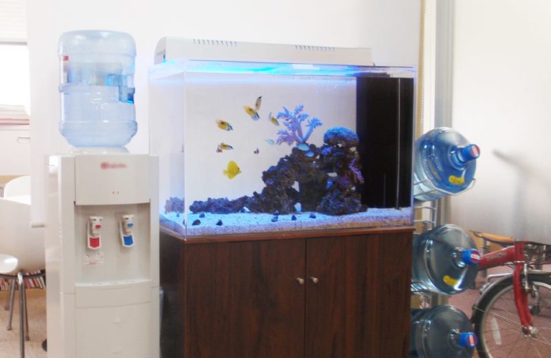 東京都中央区　オフィス　海水魚水槽　販売・水槽リニューアル事例 水槽画像２