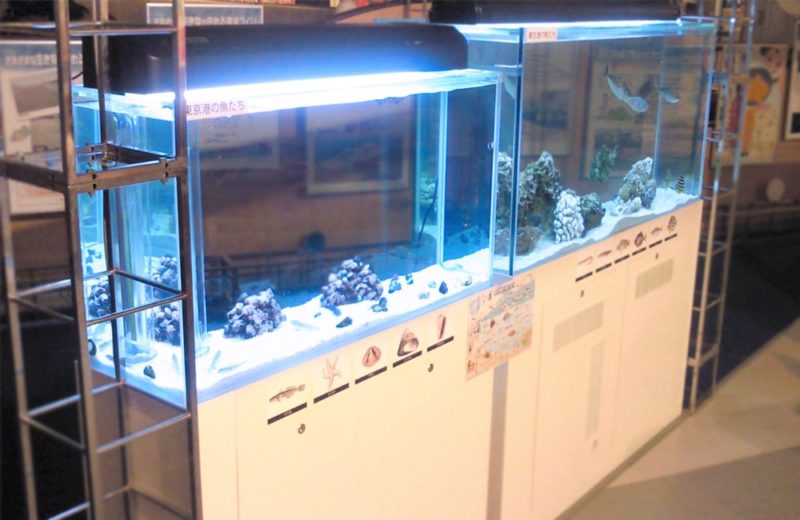 アクアシティお台場 イベント会場　120cm海水魚水槽 　水槽短期レンタル事例 水槽画像３