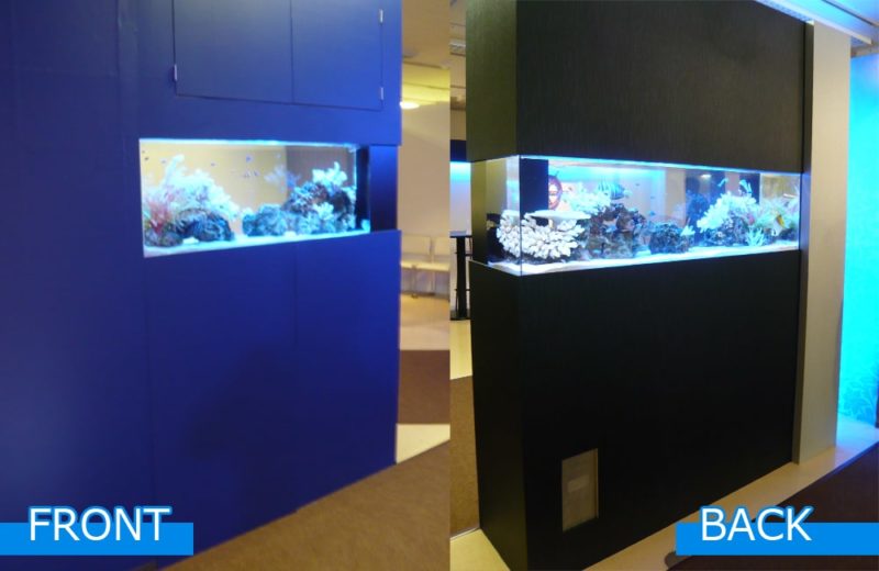 百貨店　販売会会場　120cm海水魚水槽　短期レンタルサービス事例 水槽画像３