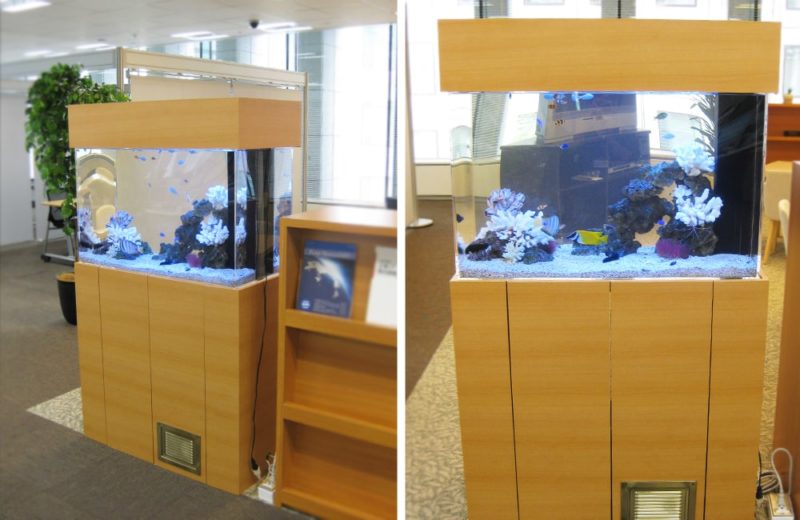 千代田区　おしゃれなオフィスに設置　90cm海水魚水槽　水槽レンタル事例 水槽画像２