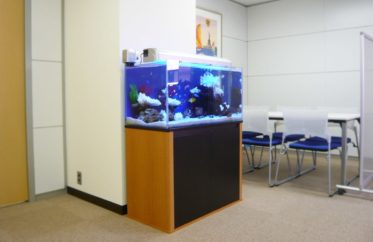 千代田区 企業様　オフィスの応接室　90cm海水魚水槽　レンタル事例