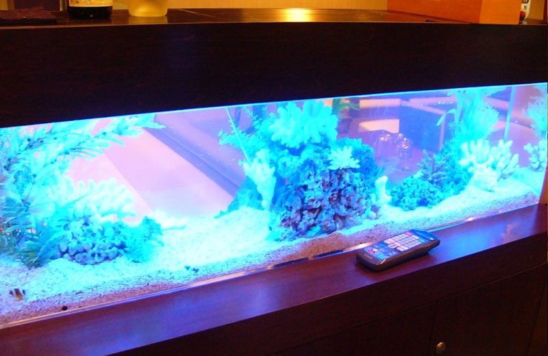 飲食店に設置　360度から見れる150cm海水魚水槽　水槽レンタル事例 水槽画像２