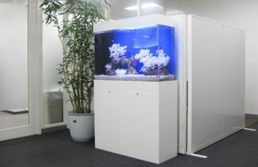 千代田区企業様　オフィス　90cm海水魚水槽　水槽レンタル事例