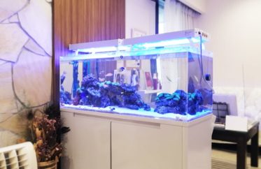 立川市　美容サロン様　店内で輝く120cm海水魚水槽　水槽リース事例