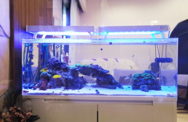 立川市　美容サロン様　店内で輝く120cm海水魚水槽　水槽リース事例 水槽画像２