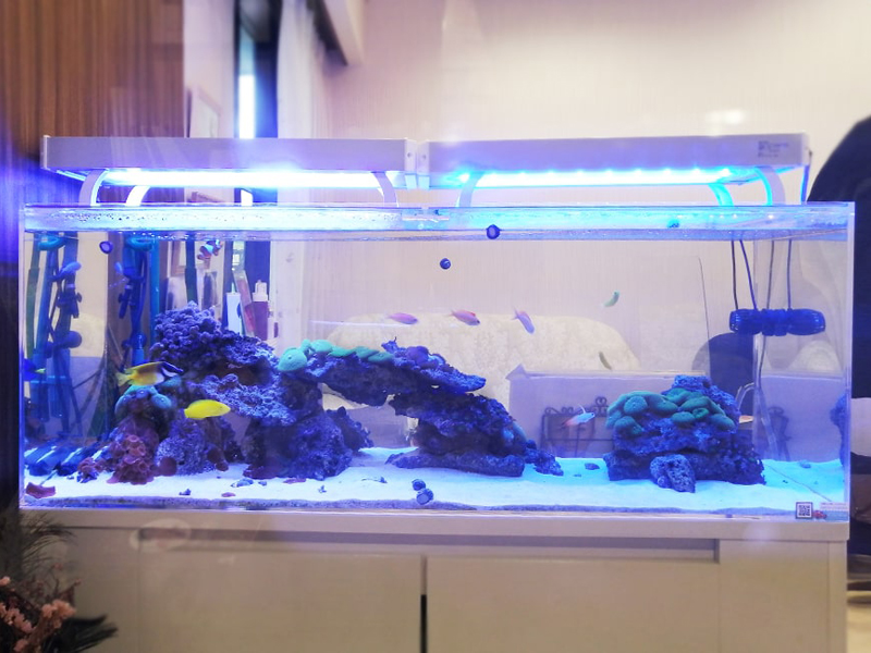 海水魚水槽がきれいに見える｜おすすめライトとLED照明のメリット｜東京アクアガーデン