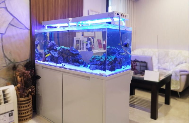 立川市　美容サロン様　店内で輝く120cm海水魚水槽　水槽リース事例 水槽画像５