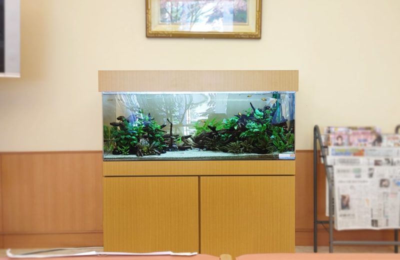 愛知県豊田市　病院に設置した120cm淡水魚水槽　水槽リース事例 水槽画像２