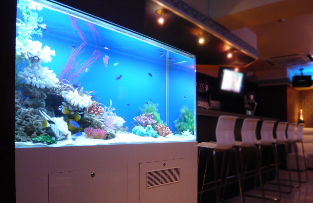 東京都　飲食店　120cm海水魚水槽＋45cm淡水魚水槽　水槽レンタル事例