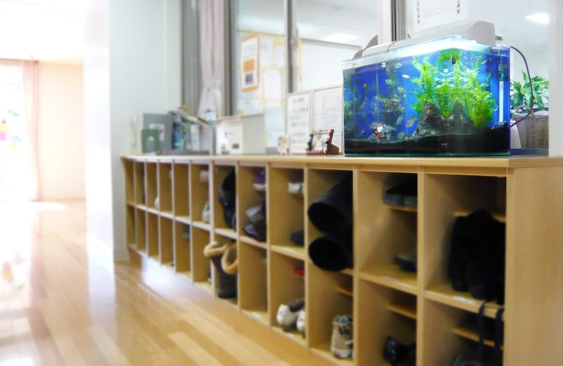 東京都杉並区　保育園様　45cm淡水魚水槽　レンタル事例 水槽画像２