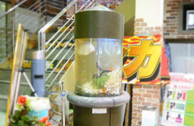 神奈川県 パーラー大丸様 80cm円柱水槽　特注水槽 販売事例 水槽画像１