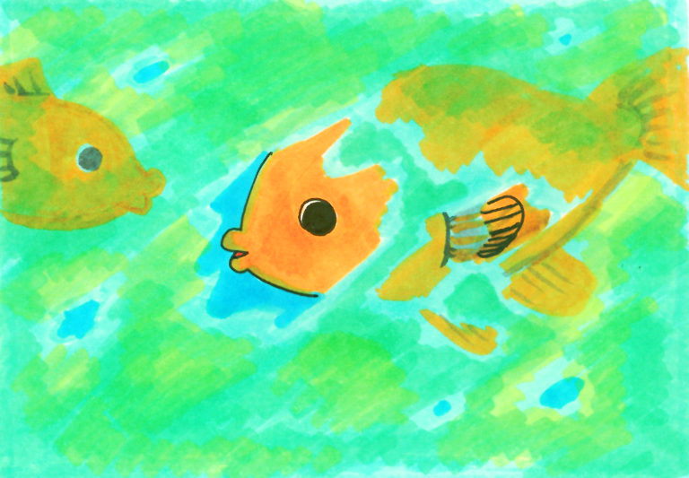 コケだらけの金魚水槽！金魚水槽にコケが生える理由と対策のサムネイル画像