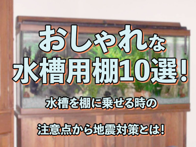 おしゃれな水槽用棚10選｜水槽を棚に載せる時の注意点から地震対策とは｜東京アクアガーデン
