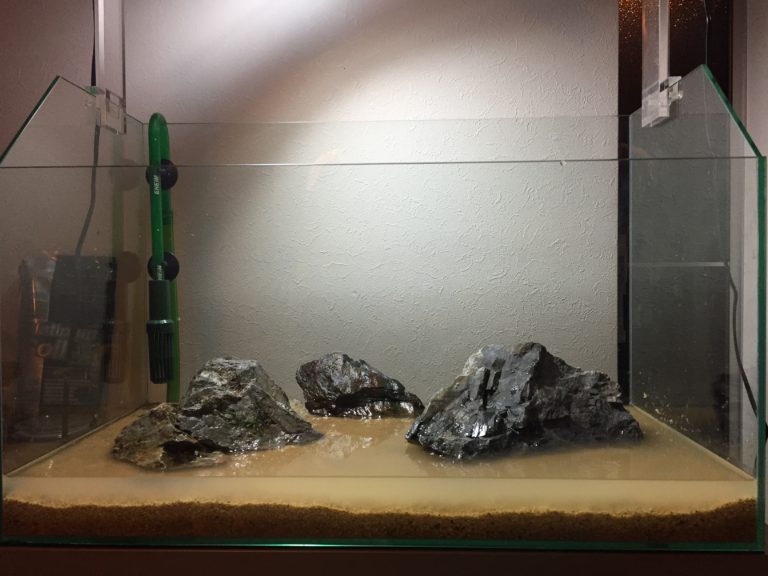 アクアテラリウムに使う底砂 陸地 滝 植物とは 素材を画像で解説 東京アクアガーデン