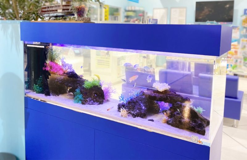 神奈川県相模原市　薬局に設置した150cm海水魚水槽　水槽レンタル事例 水槽画像１