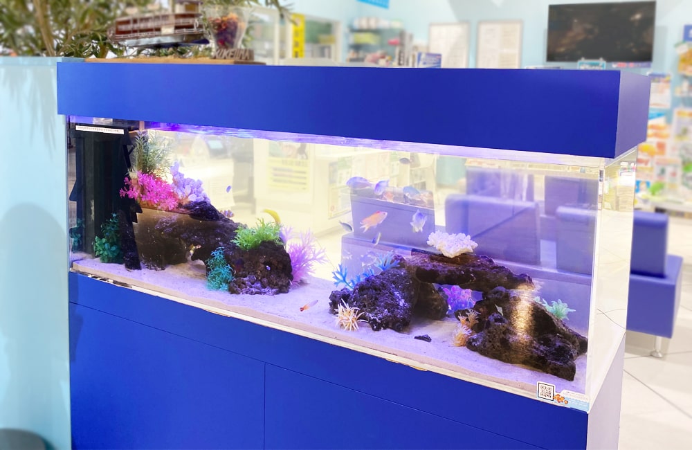 神奈川県相模原市　薬局に設置した150cm海水魚水槽　水槽レンタル事例のサムネイル画像