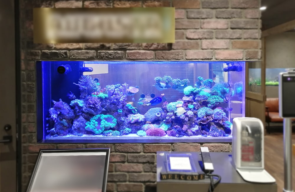 渋谷区　企業オフィス　壁埋め込み150cm海水魚水槽　水槽リース事例 メイン画像