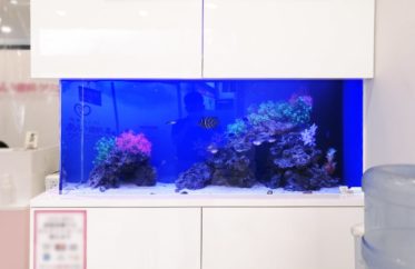 東京都八王子市 歯科クリニック様　136cm海水魚水槽 販売・メンテナンス事例