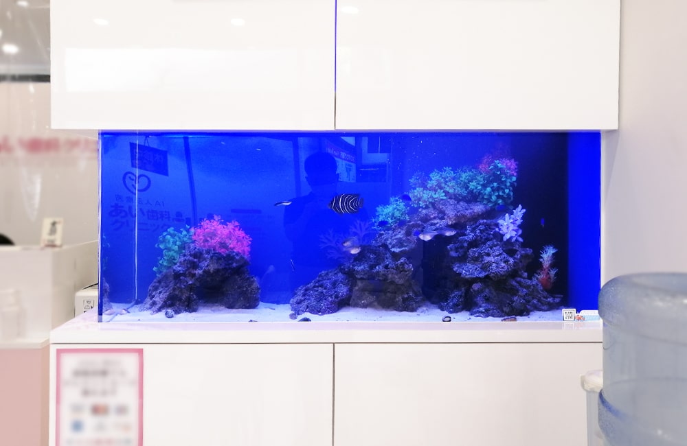 東京都八王子市 歯科クリニック様　136cm海水魚水槽 販売・メンテナンス事例 メイン画像