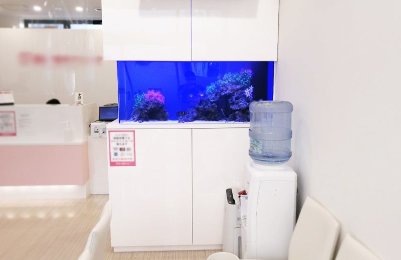 東京都八王子市 歯科クリニック様　136cm海水魚水槽 販売・メンテナンス事例 水槽画像２