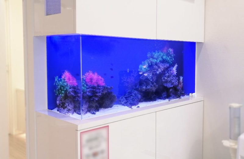 東京都八王子市 歯科クリニック様　136cm海水魚水槽 販売・メンテナンス事例 水槽画像５