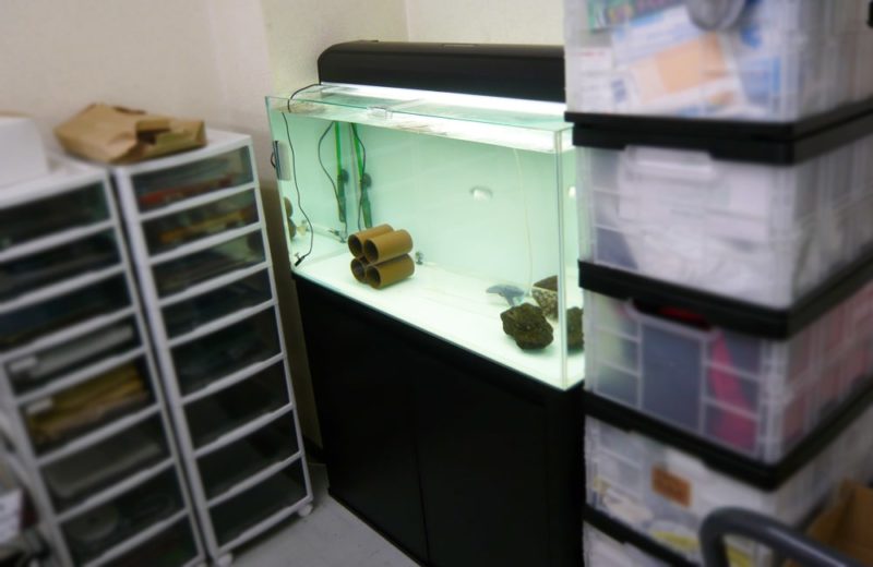 オフィスに設置　90cm淡水魚水槽　水槽一式販売・メンテナンス事例 水槽画像１