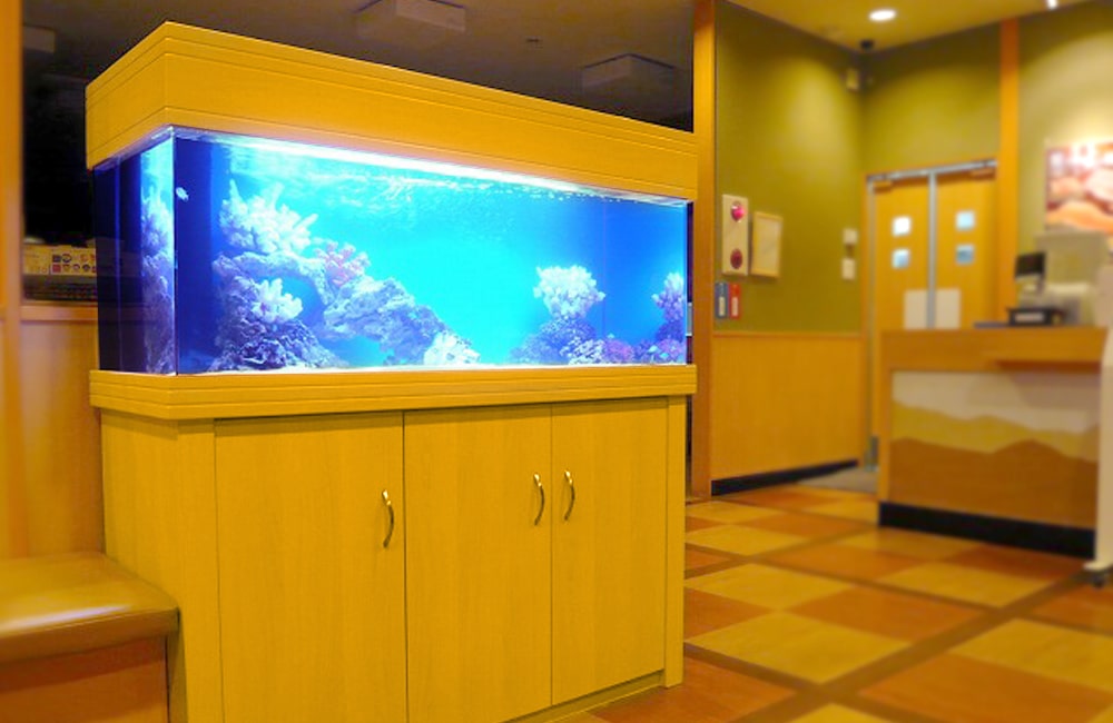 神奈川県横浜市　海鮮飲食店　120cm海水魚水槽　水槽レンタル事例 メイン画像